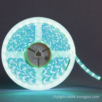 LED Swimming Pool Lighting ,LED Rope Light,DC12V/DC24V